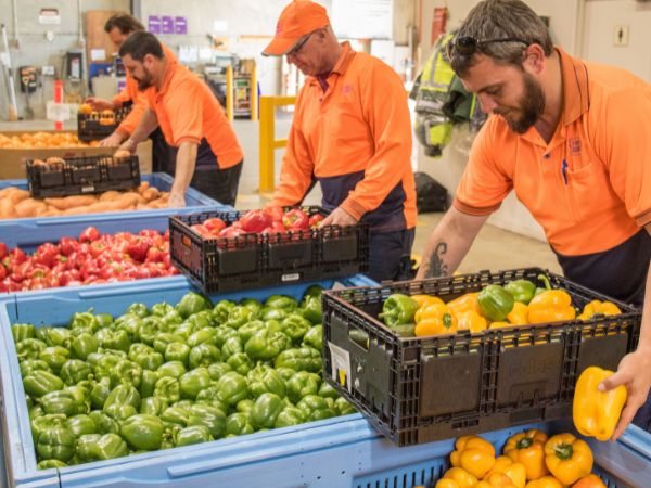 22 million meals icon